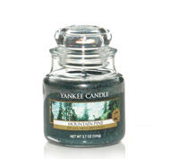 Mountain Pine, Small Jar, Yankee Candle