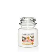 Christmas Rose, Medium jar, Yankee Candle