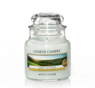 Early Sunrise, Small Jar, Yankee Candle