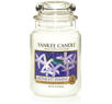 Midnight Jasmine, Large Jar, Yankee Candle