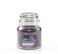 French Lavender, Medium jar, Yankee Candle