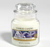 Midnight Jasmine, Small Jar, Yankee Candle