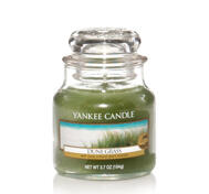 Dune Grass, Small Jar, Yankee Candle