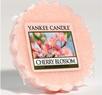Cherry Blossom, Vaxkaka, Yankee Candle