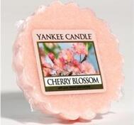Cherry Blossom, Vaxkaka, Yankee Candle