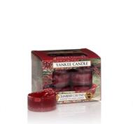 Cranberry Chutney, Värmeljus, Yankee Candle