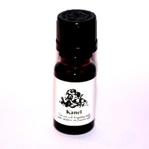 Aromaprodukter - Parfymoljor - Specialdofter - Kanel, parfymolja